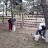 Наши субботники
